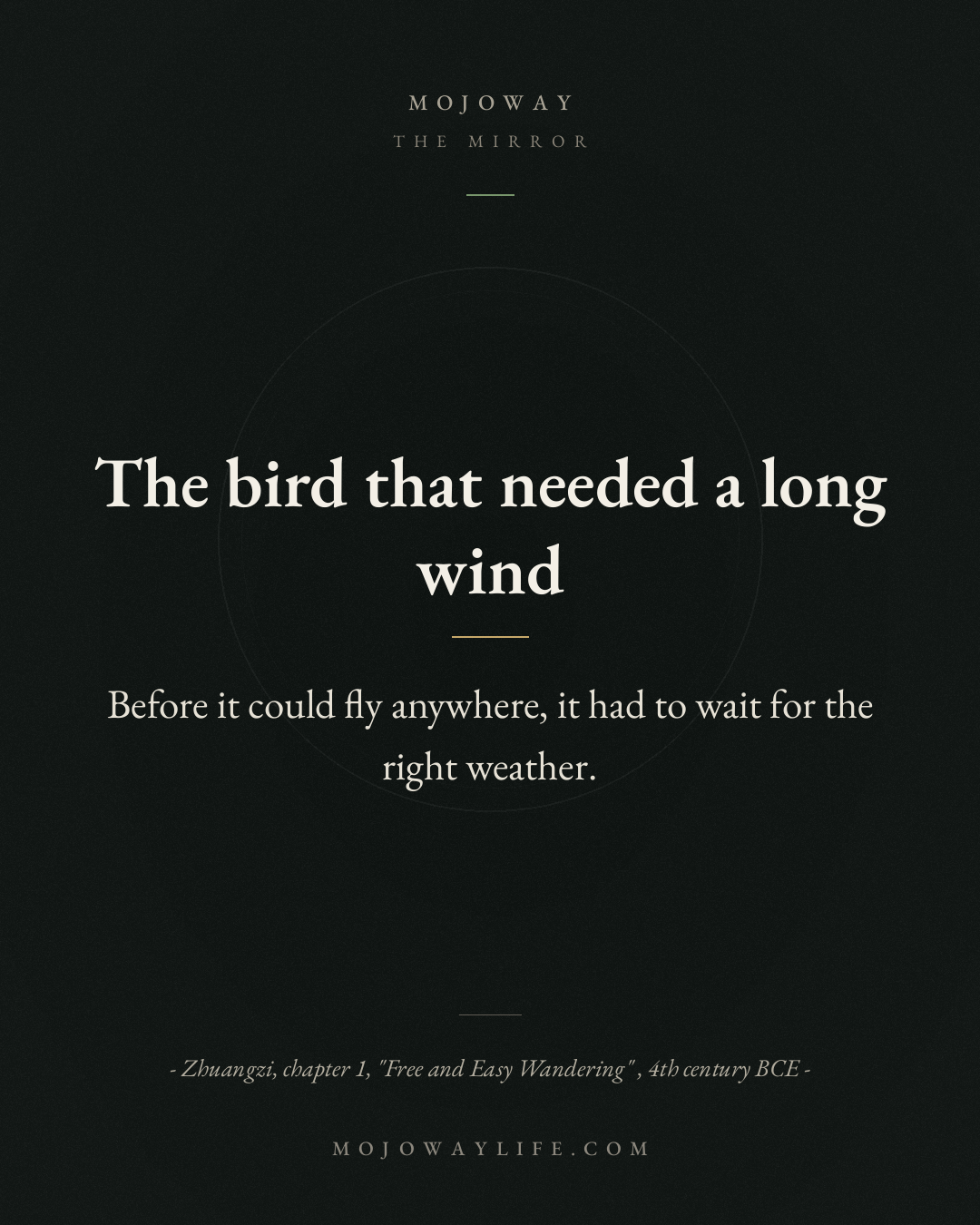 The bird that needed a long wind